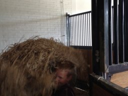 IMG_6723_web